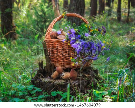 Still life outdoor with basket of mushrooms and bouquet wild flowers