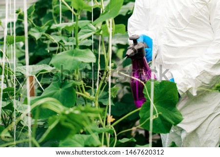Worker sprays organic pesticides on plants.