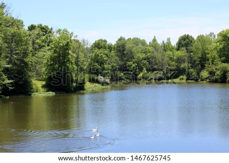 The lake in the park on a bright sunny springtime day.