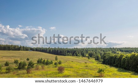 rare trees in a valley between hills with mowed grass