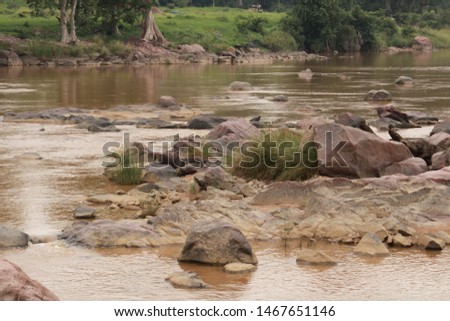 River is a part of nature and also good for river rafting