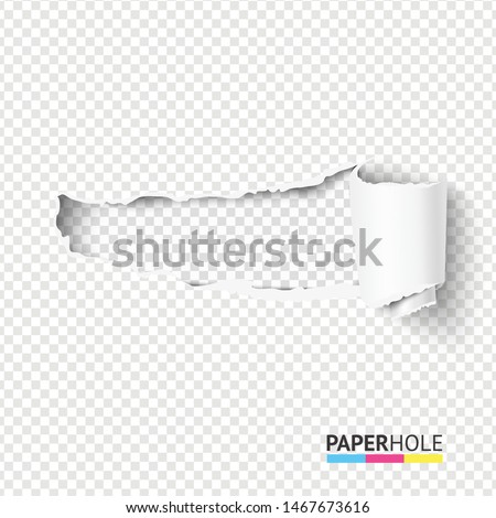 Vector blank curled tear paper piece into a scroll with torn edges of hole and shadows on a transparent background for sale promo empty banner revealing some message. Royalty-Free Stock Photo #1467673616