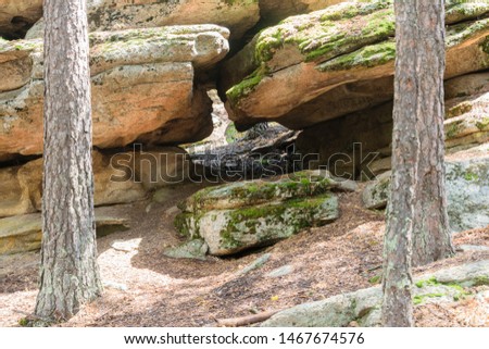 Rocks composed of layers. Stones covered with moss. A crack in the rock formed a cave.