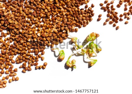 Germinated green buckwheat and spilled grain
 on a white background. Vegetarianism. Vitamins. Fagopyrum