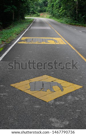 Animal sign: a road sign for elephants khoayai in thailand
