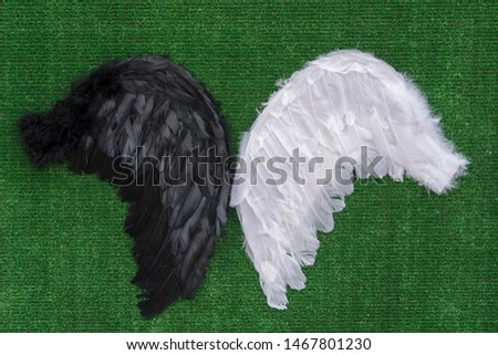 two wings black and white on a green background 