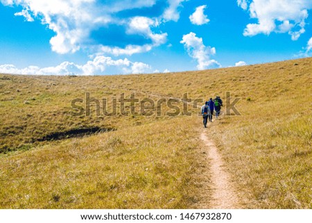 They were trekking heading to the top of hill in Thailand.