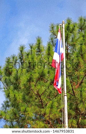 The Thai flag on the pine tree