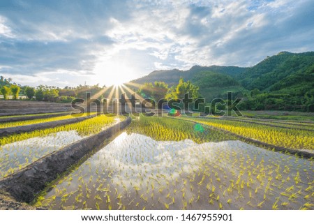 Beautiful Colorful Sunset Over Mountains and Rice Terrace. Landscape Nature Background. Picture for Agriculture Concept.