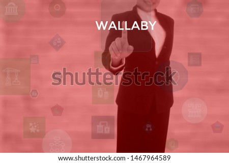 WALLABY - technology and business concept
