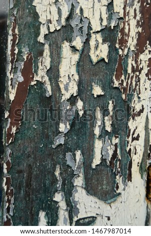 Abstract colorful old wood texture and background,High quality picture.