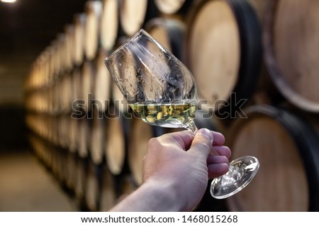 Closeup hand with glass of white wine on background wooden oak barrels stacked in straight rows in order, old cellar of winery, vault. Concept professional degustation, winelover, sommelier travel