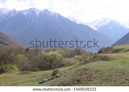Insanely beautiful landscape of the valley of the Caucasus Mountains with views of the mountains and the blossoming apple tree. Karachay-Cherkessia, Russia.