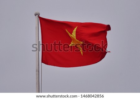 National flag of  Vietnam on a flagpole, waving againts bright isolated sky.