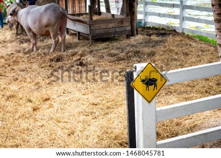 Yellow buffalo animal sign symbol hanging on white fence in buffalo farm with blurred cute buffalo on background.