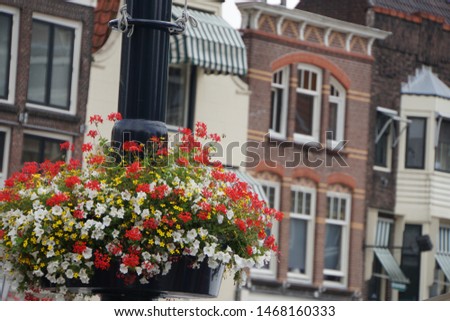 Beautiful View With Red Geranium Flowers And Typical Old Dutch Houses Of Historical Gouda Town Of The Netherlands. Beautiful Background Of Summer Time in Europe. Close Up. 
