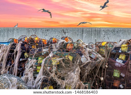 Fishing nets in Essaouira harbor with seagulls flying in the background at sunset.
