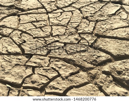 Cracked soil, Cracked earth , Dry soil texture background.