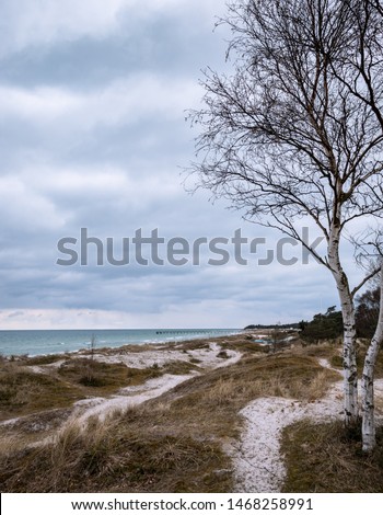 An image taken on a southern Swedish beach