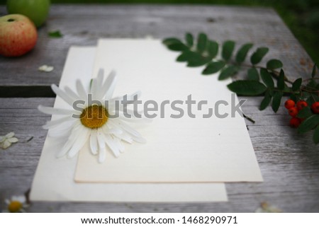 Daisy on the background of blurred paper, wooden table, leaves, berries and fruit. Summer photo desktop creative person