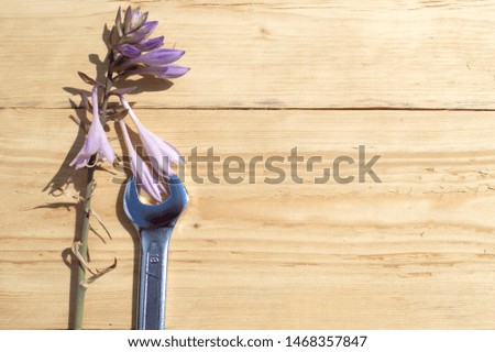 Perfect size man wrench with hosta flower on wooden background