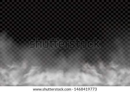Fog or smoke isolated transparent special effect. White vector cloudiness, mist or smog background. Vector illustration - Vector illustration