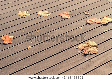 Dry  autumn leaves on wooden background. Picture with copy space for design or text.