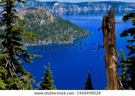 Crater Lake with trees in the foreground and Wizard Island in the background. Oregon National Park. Bright blue waters with forested landscape.