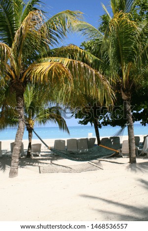 A luxurious empty hammock on a picture perfect tropical beach inviting you to relax.