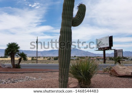 Typical Nevada scene: Saguaro cactus, palms, blue sky, billboard, highway. Pahrump, Nevada, USA