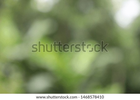 Blur Abstract Background. Green Nature Abstract Blur Background