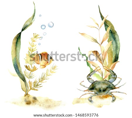 Watercolor compositions with tropical fish and crab. Hand painted underwater floral illustration with algae and air buble isolated on white background. For design, fabric or background