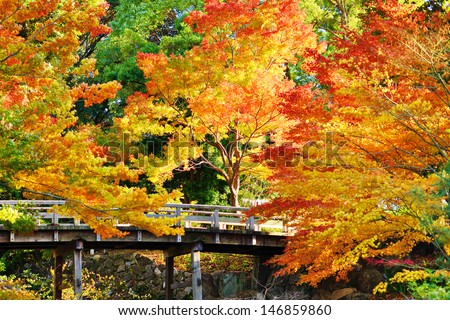 Fall foliage at  in Nagoya, Japan.