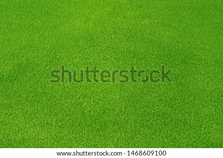 Artificial green grass texture top view background, Sport field concept.