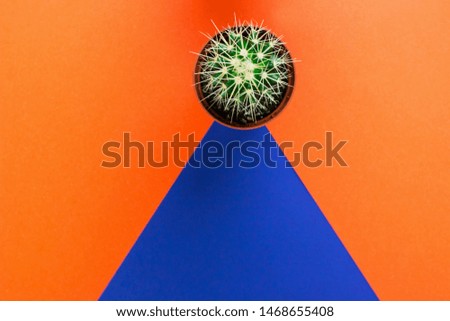 Small green cactus in orange pot on orange and purple background. View from above. Copy space for text.