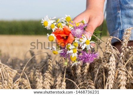 a girl in a cornfield holds meadow flowers