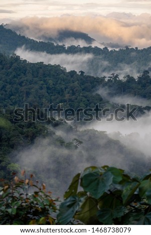 Mashpi Ecological Reserve, Ecuador, Highlands, Cloud Forest Royalty-Free Stock Photo #1468738079