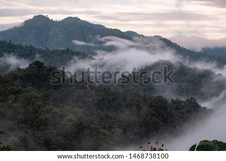 Mashpi Ecological Reserve, Ecuador, Highlands, Cloud Forest Royalty-Free Stock Photo #1468738100