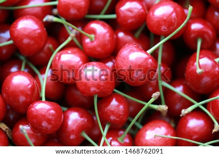 Closeup of red cherries in warm summer colors.
