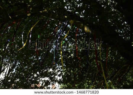 Coloured ribbons hanging from a tree