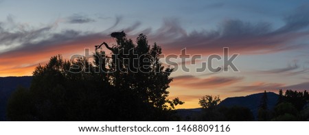 An evening sunset panorama of Kelowna from Rotary Marsh looking at the Osprey Nest with Osprey eating a fish with a beautiful coloured summer sky background.