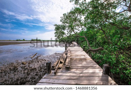 Close-up view of the natural background of the wooden bridge, which is surrounded by mangrove forests, colorful leaves of the leaves, blown through the blurred coolness during ecological travel.