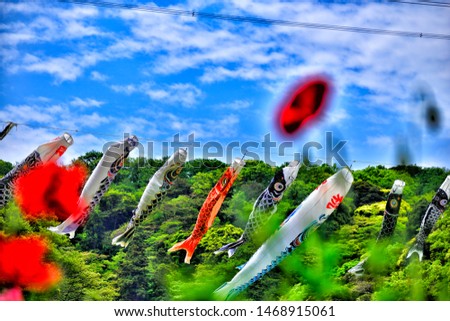 Carp streamer of the Kurihama flower park in Yokosuka city, Japan(One red character on carp streamer means "Congratulations").