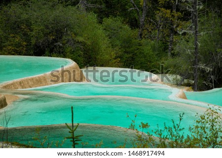 Clear blue ponds with green trees