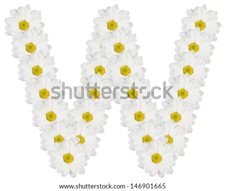 Letter W made from white flowers