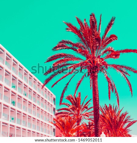 Orange palm and part of the hotel architecture. Turquoise sky. Minimalism 