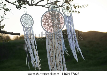 A dreamcatcher weighs in a tree on the street and is lit by the rays of the sun.