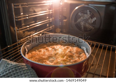 apricot pie, prepared ruddy charlotte in the oven Royalty-Free Stock Photo #1469149049
