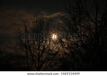 Bright Moon and clouds above trees