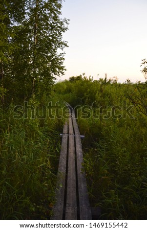 The track is made of boards. The path to the lake.